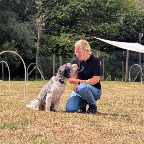 Hundetricks für Sea-Eye