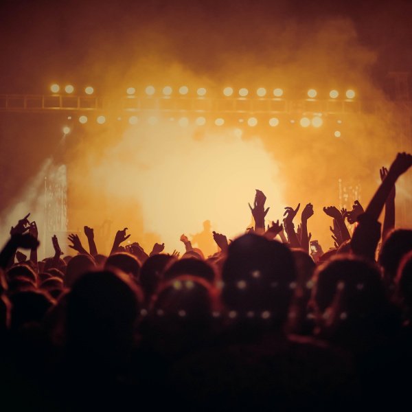 Unser Konzert & Festival-Sommer!